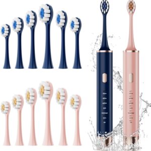 Blue & Pink Electric Toothbrush for Adults, USB Rechargeable Sonic Toothbrush with 12 Brush Heads